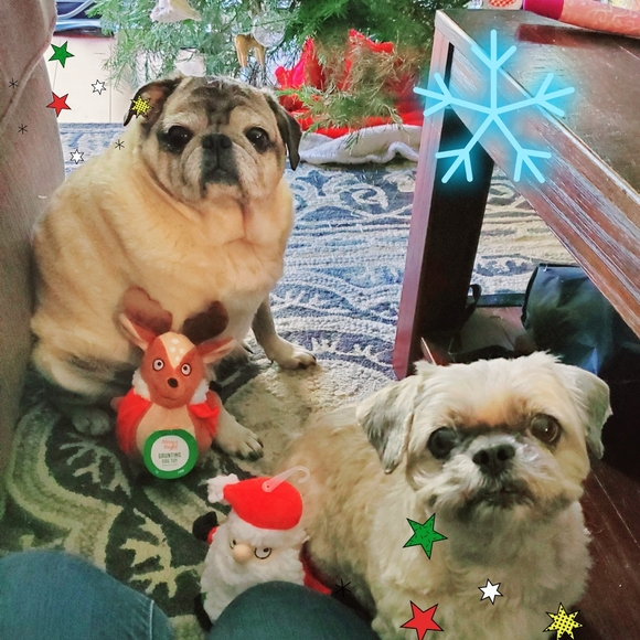 Meet your Posher, Tara - Picture 11 of 13